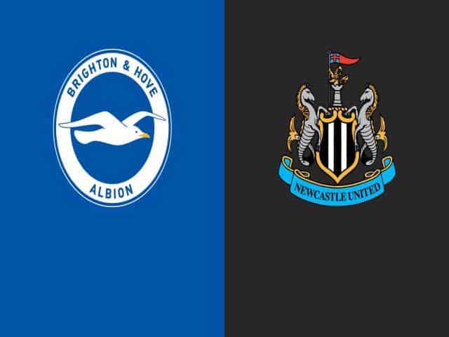 Soi kèo bóng đá nhà cái trận Brighton vs Newcastle, 03:00 – 21/03/2021