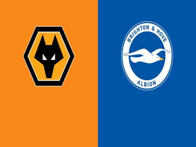 Soi kèo nhà cái bóng đá trận Wolves vs Brighton 18:00 – 09/05/2021