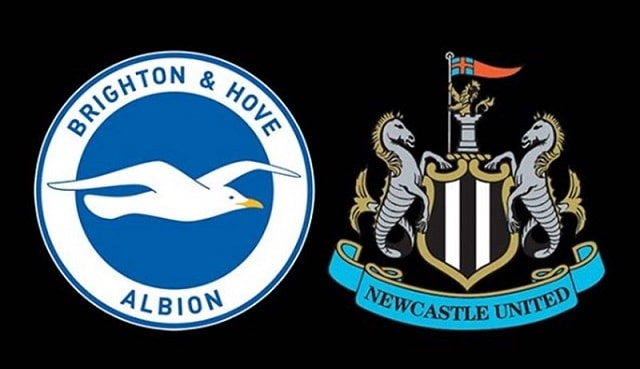 Soi kèo bóng đá Newcastle vs Brighton, 05/03/2022 – Premier League